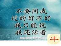 山西环澳集网络科技有限公司