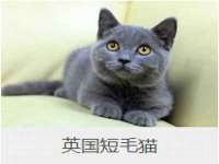 山西环澳集网络科技有限公司
