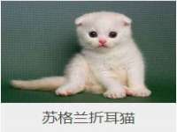 山西环澳集网络科技有限公司