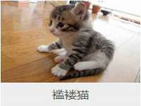 山西环澳集网络科技有限公司