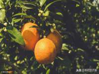 山西环澳集网络科技有限公司