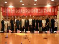 山西环澳集网络科技有限公司