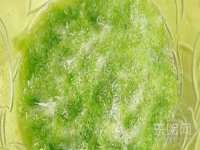 山西环澳集网络科技有限公司