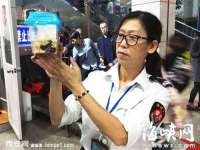 山西环澳集网络科技有限公司